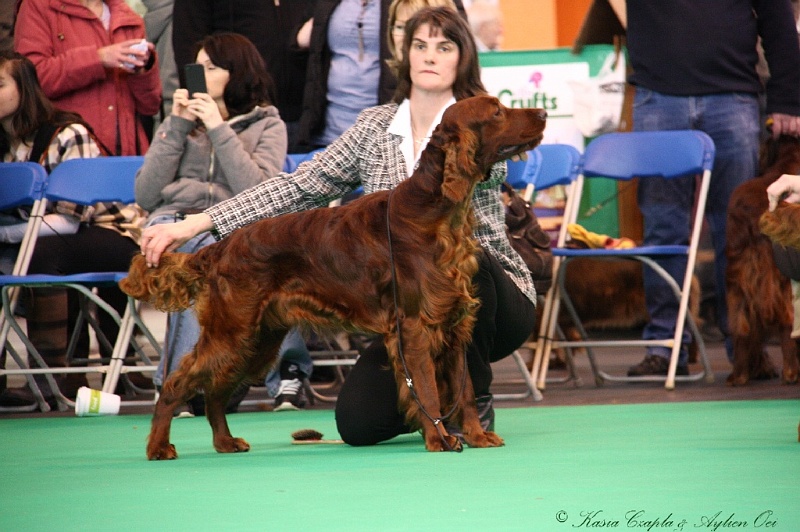 Crufts2011 201.jpg